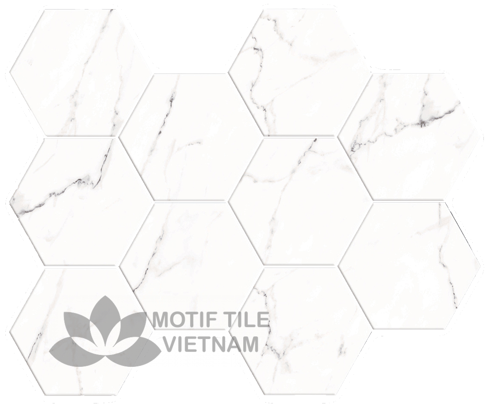 Gạch bông men gốm Hex-PP001 3 Gạch bông men gốm Hex-PP001 - Hình ảnh 3