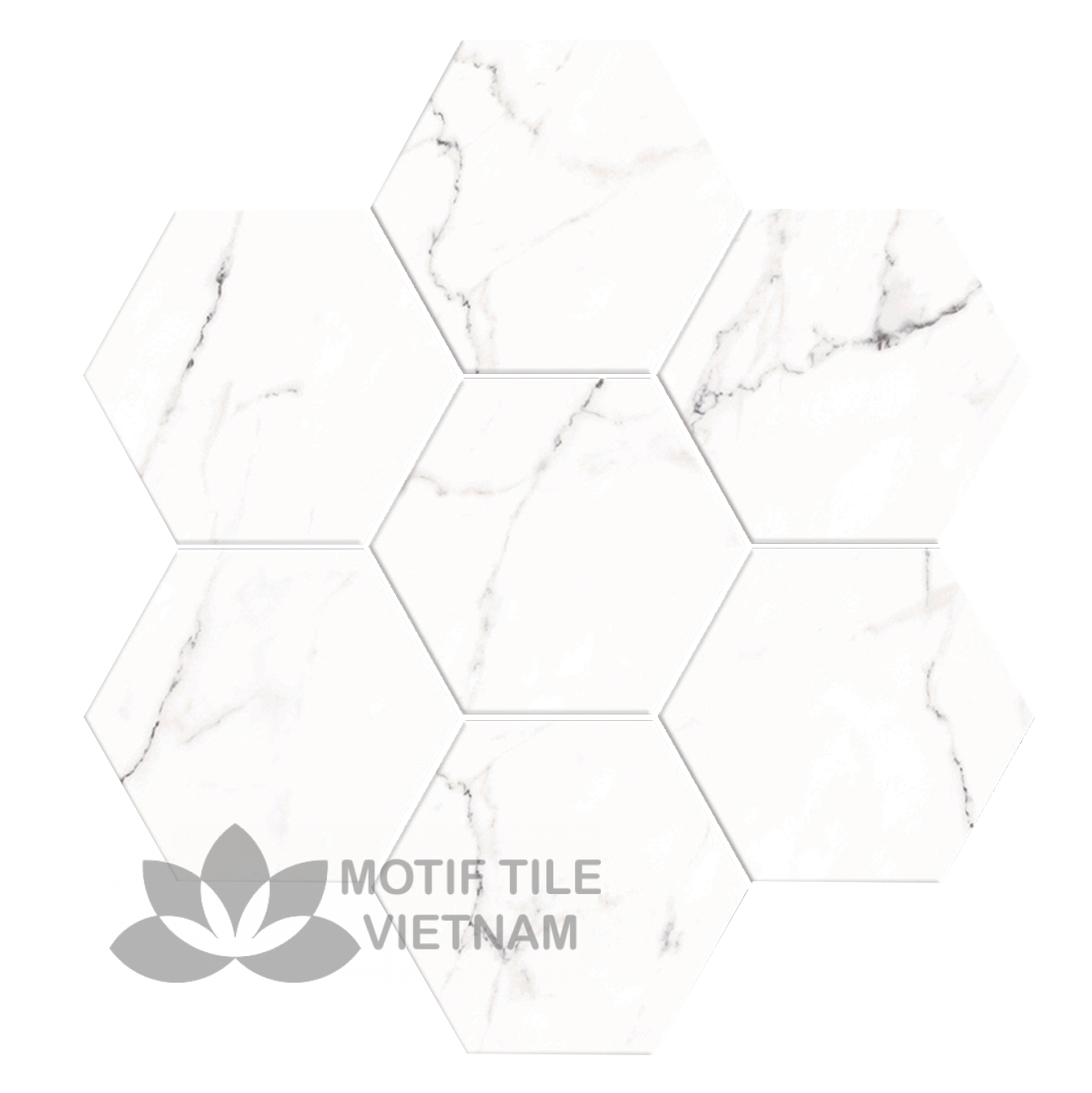 Gạch bông men gốm Hex-PP001 1 Gạch bông porcelain Hex-PP001