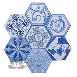 Gạch bông porcelain Hex-PP008