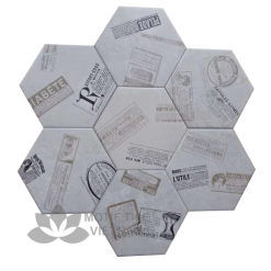 Gạch bông porcelain Hex-PP020