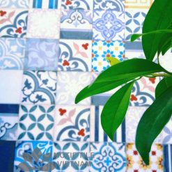 Gạch bông tổng hợp loại B