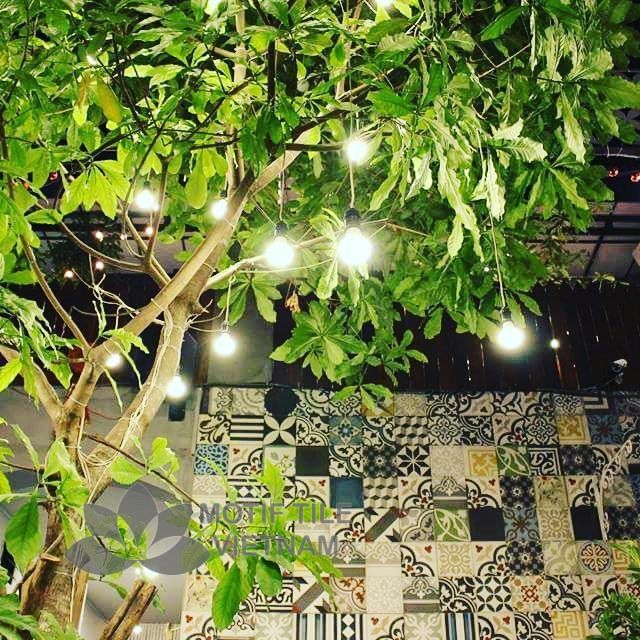 Gạch bông ngẫu nhiên loại B 5 Gạch bông tổng hợp loại B