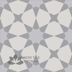 Gạch lát sàn xi măng CTS 141.3(9-27-50)