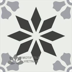 Gạch bông cổ điển CTS 167.2(4-9-13)