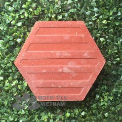Gạch đất nung terracotta lục giác
