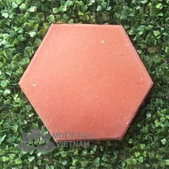 Gạch đất nung terracotta lục giác