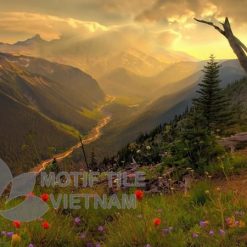 Tranh gạch ốp tường chủ đề nắng vàng