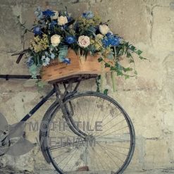 Tranh kính ốp tường xe đạp