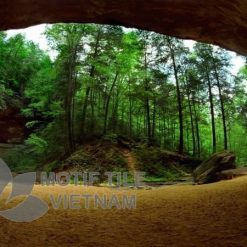 Tranh gạch ốp tường chủ đề rừng cây