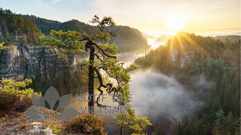 Tranh gạch ốp tường chủ đề nắng vàng 5 Tranh gạch ốp tường chủ đề nắng vàng