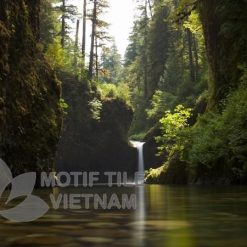 Tranh gạch ốp tường chủ đề rừng cây 14 Tranh gạch ốp tường chủ đề rừng cây