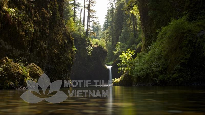 Tranh gạch ốp tường chủ đề rừng cây 6 Tranh gạch ốp tường chủ đề rừng cây