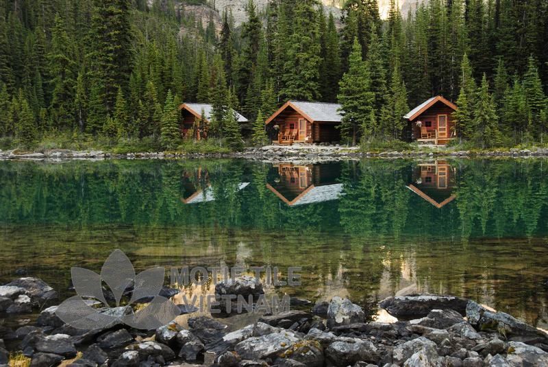 Tranh gạch ốp tường chủ đề rừng cây 1 Tranh gạch ốp tường chủ đề rừng cây