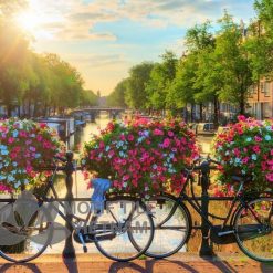 Tranh gạch ốp tường chủ đề nắng vàng 9 Tranh gạch ốp tường chủ đề nắng vàng