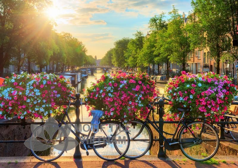 Tranh gạch ốp tường chủ đề nắng vàng 4 Tranh gạch ốp tường chủ đề nắng vàng