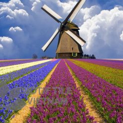 Tranh kính ốp tường cối xay gió