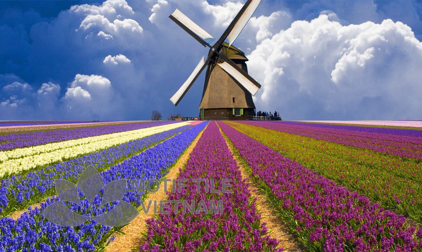 Tranh kính ốp tường cối xay gió 2 Tranh kính ốp tường cối xay gió