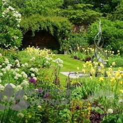 Tranh gạch ốp tường chủ đề rừng cây 12 Tranh gạch ốp tường chủ đề rừng cây