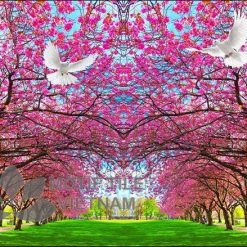 Gạch trang 3D ốp tường hoa anh đào