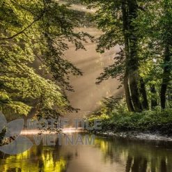 Tranh gạch ốp tường chủ đề rừng cây 11 Tranh gạch ốp tường chủ đề rừng cây