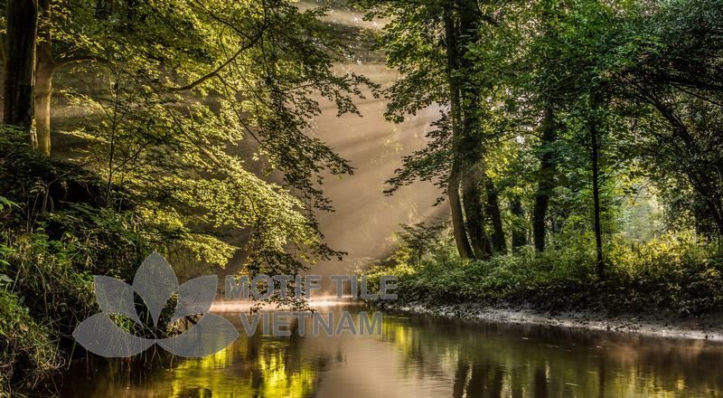 Tranh gạch ốp tường chủ đề rừng cây 3 Tranh gạch ốp tường chủ đề rừng cây