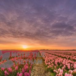 Tranh gạch ốp tường chủ đề nắng vàng