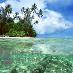 Tranh kinh tranh gach chu de bien dao 5 Shop gạch trang trí cao cấp