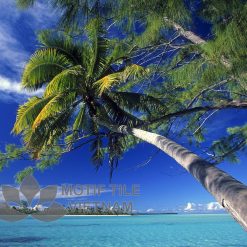 Tranh kính ốp tường hoa tulip