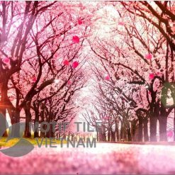 Gạch trang 3D ốp tường hoa anh đào