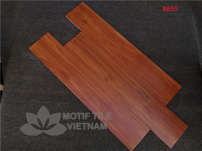 Khám Phá Thế Giới Giải Trí Đỉnh Cao Tại Go8855 com - Nơi Kết Nối Người Chơi Đam Mê