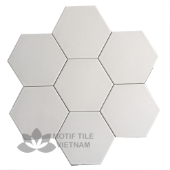 Gạch bông Hex-PP200