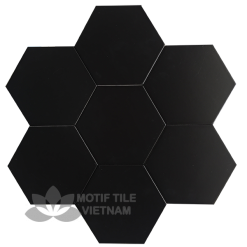 Gạch bông Hex-pp207