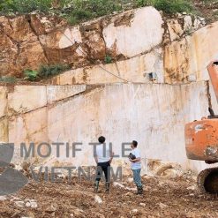 Đá Marble vàng 60x60cm 10 Đá marble vàng 5 Shop gạch trang trí cao cấp