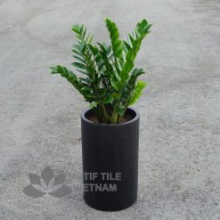 Chậu poly hình trụ tròn 35x55cm 3 Chậu poly hình trụ tròn 35x55xcm
