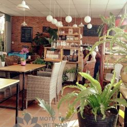 Gạch giả cổ ốp tường