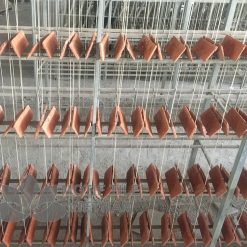 Gạch giả cổ GC 01