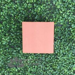 gạch lát nền đất nung | Gạch chữ U MT-L10