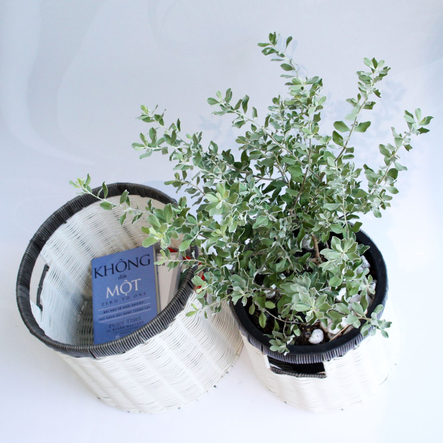 Set 03 giỏ đựng quần áo giỏ trang trí mây nhựa đan