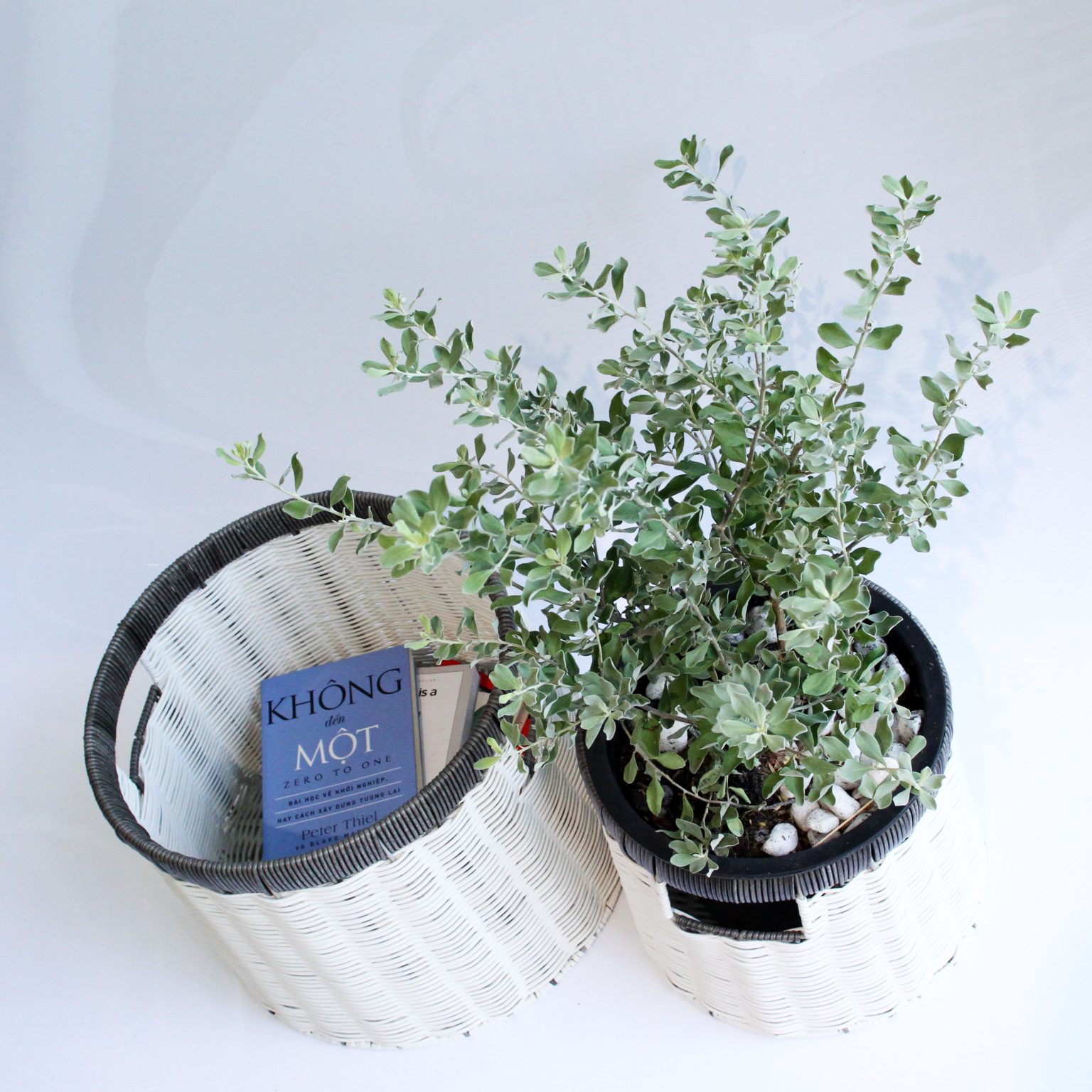 Set 03 giỏ đựng quần áo giỏ trang trí mây nhựa đan