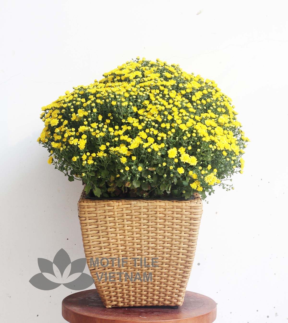 Chậu cây nhựa đan vuông vát thấp MT-P019 4 Chậu cây nhựa đan vuông vát thấp MT-P019