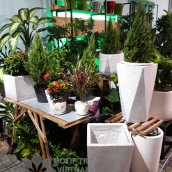 Chậu đá mài tam giac 37x70cm trắng