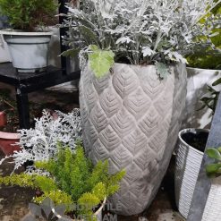 Chậu xi măng hoa ly