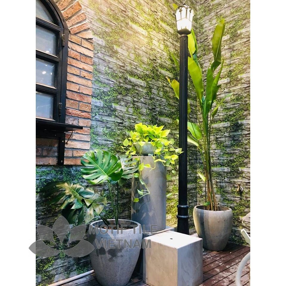 Chậu đá mài Chivas 30x40 5 Chậu đá mài Chivas 30x40