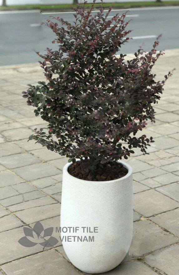 Chậu đá mài hình giọt nước 30x50 4 Chậu đá mài hình giọt nước 30x50