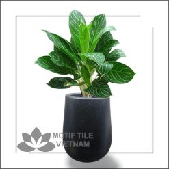 Chậu đá mài hình giọt nước 30x50