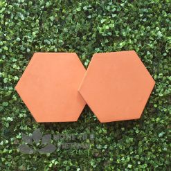 Gạch terracotta đất nung 04 lục giác 20x23 cm