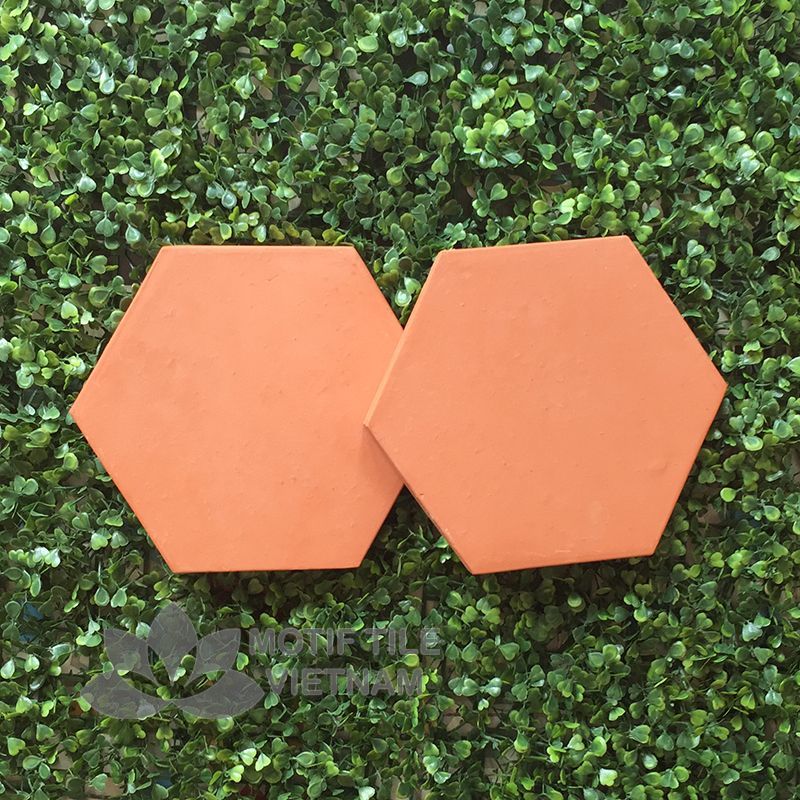 Gạch terracotta đất nung 04 lục giác 20x23 cm 2 Gạch terracotta đất nung 04 lục giác 20x23 cm