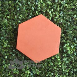 Gạch terracotta đất nung 04 lục giác 20x23 cm