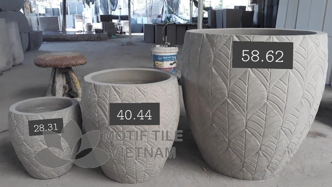 Chậu xi măng Chivas 2 Chậu xi măng Chivas